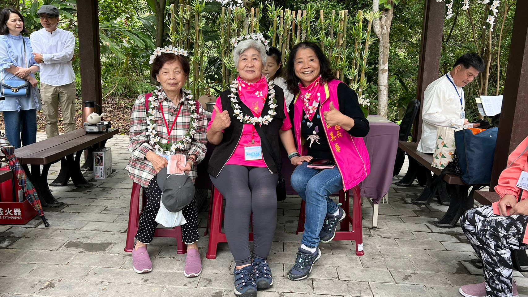 萬福公園桐花欣賞拍照