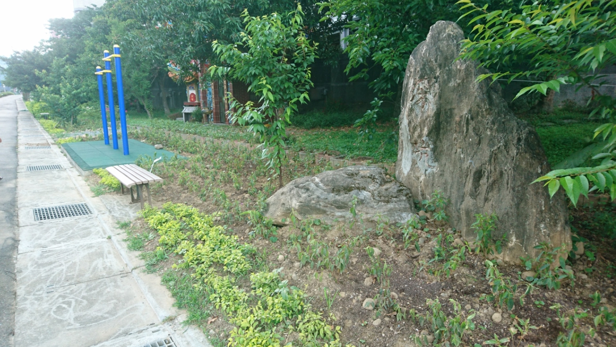 萬順里防汛道路植栽